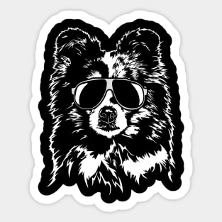 Funny Sheltie Shetland Sheepdog cool dog portrait Sticker